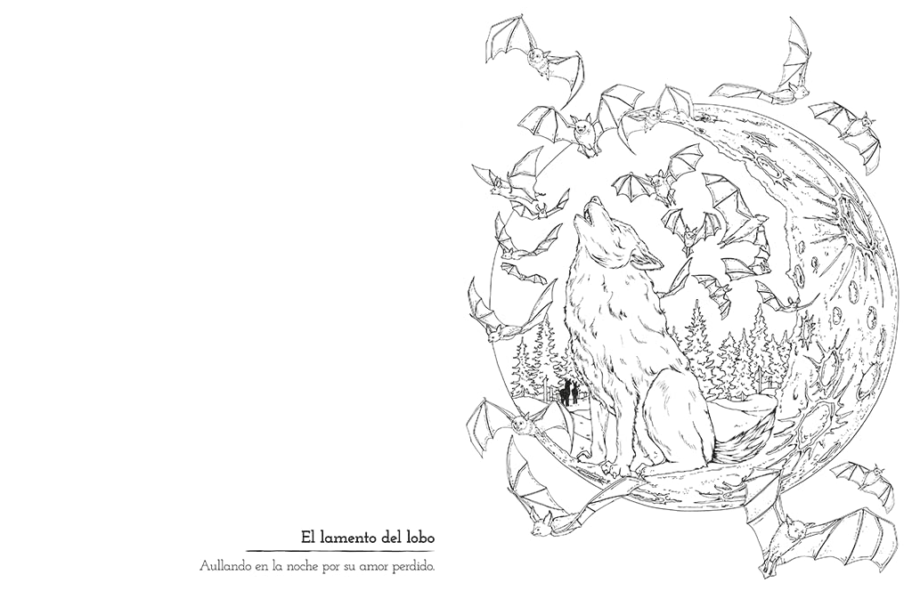 Romantasy: A Star-Crossed Colouring Experience