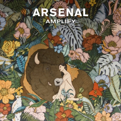 Arsenal - Imagen 2