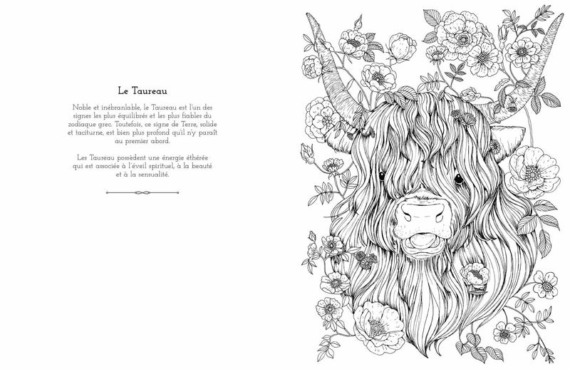 Astrology Colouring - Imagen 4