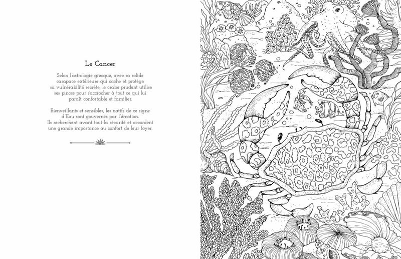 Astrology Colouring - Imagen 6