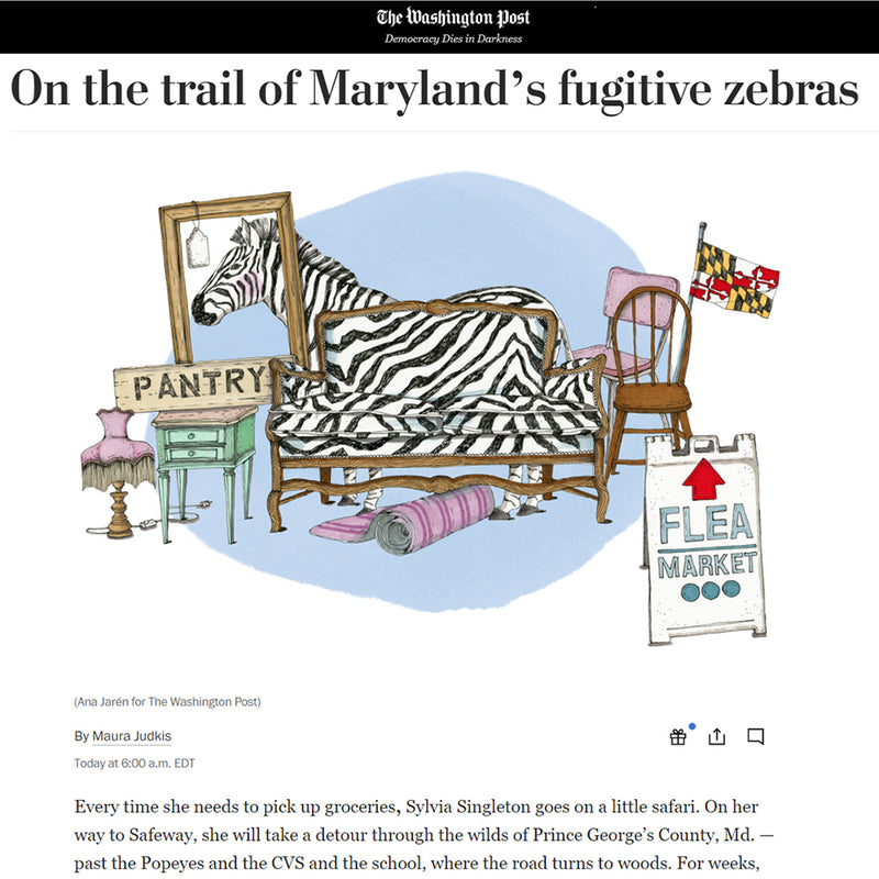 The Washington Post - Imagen 3