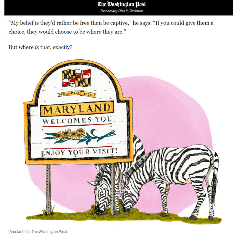 The Washington Post - Imagen 4