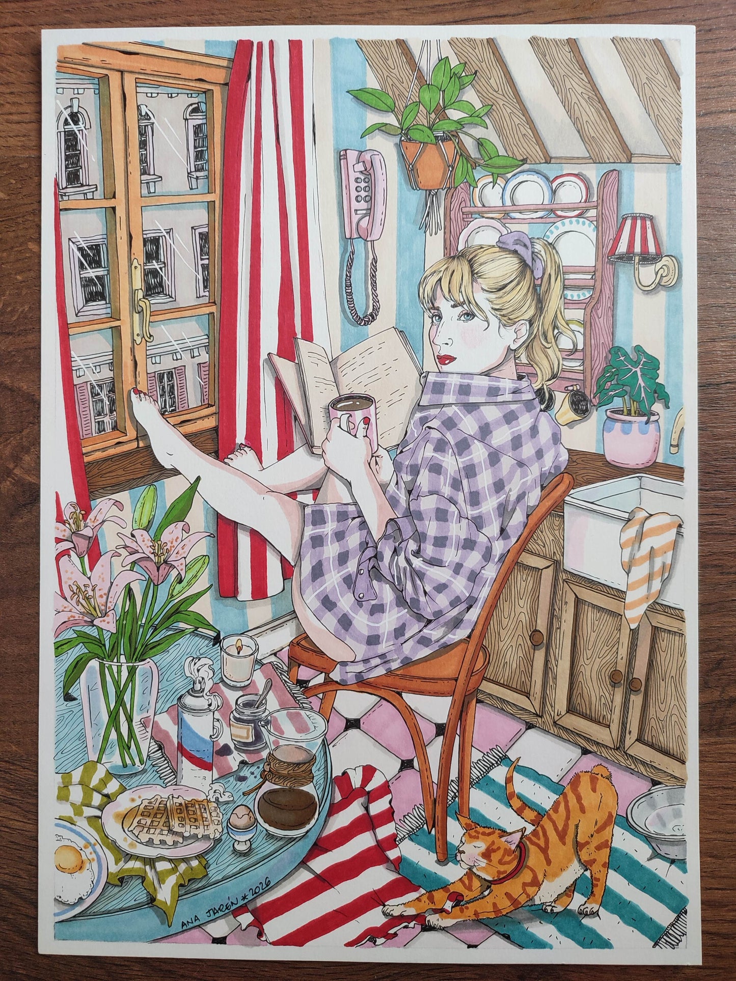 Window, Coffee and Cat