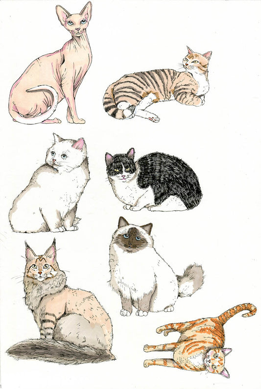Cats